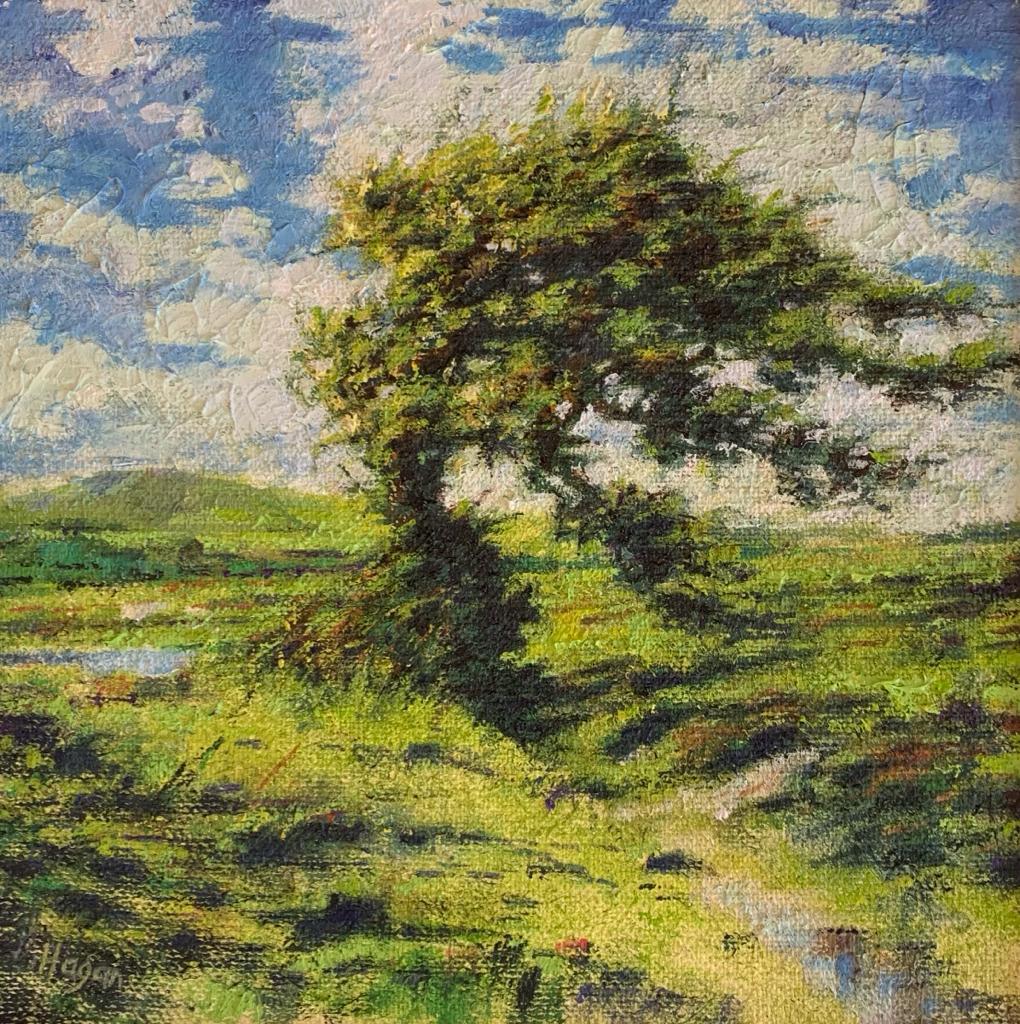 Lone Tree, Dartmoor