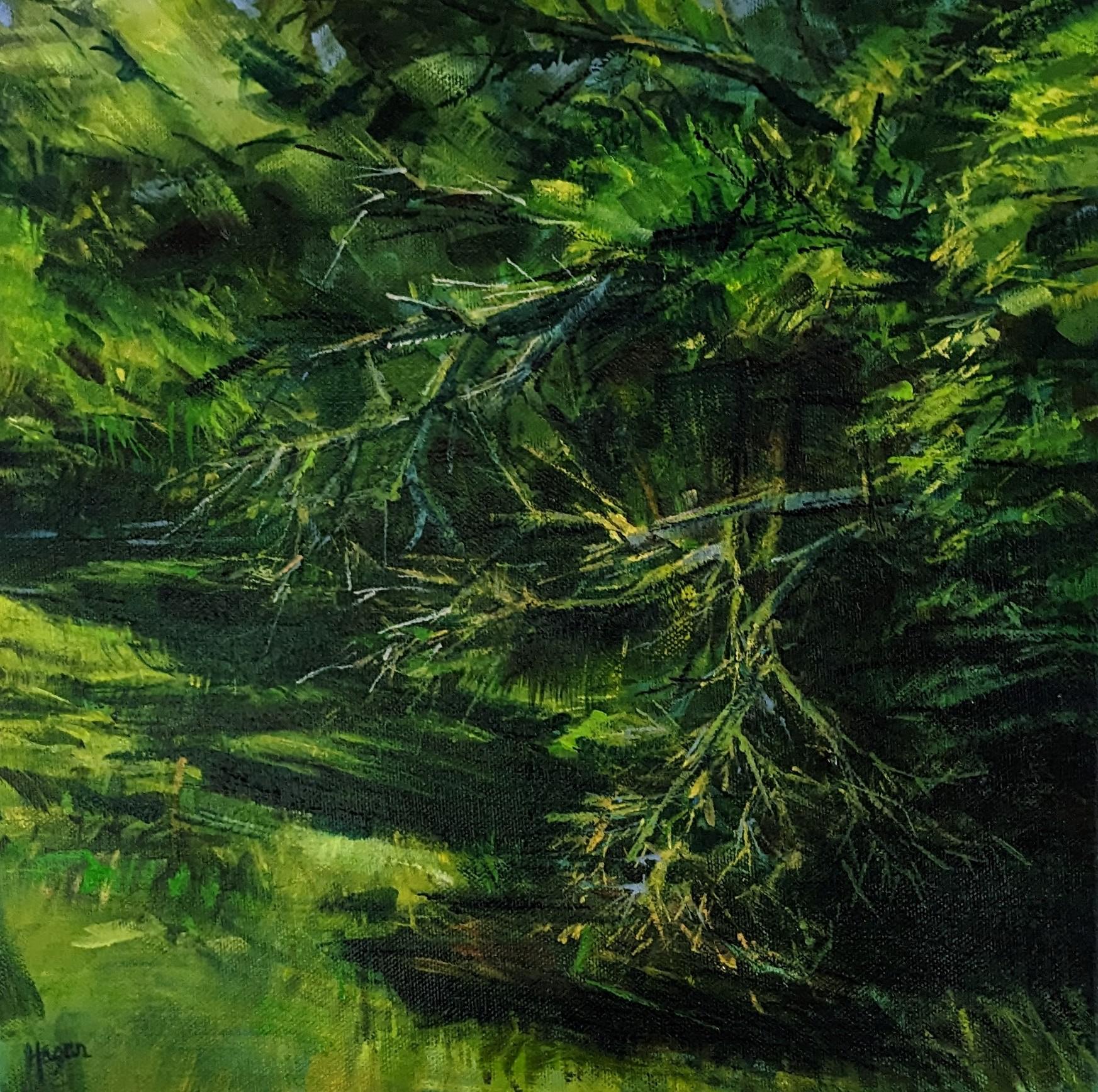 Meandering Woodland Water - Dartmoor