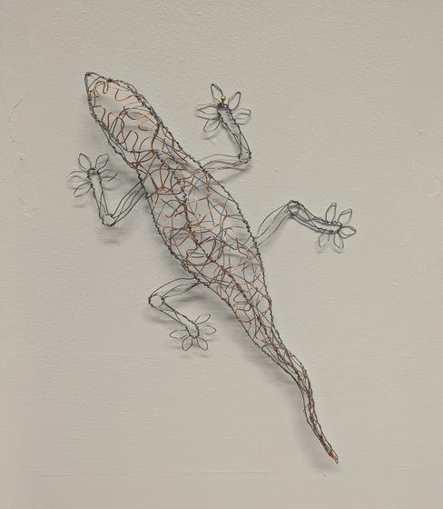 Gecko (LJP2415)
