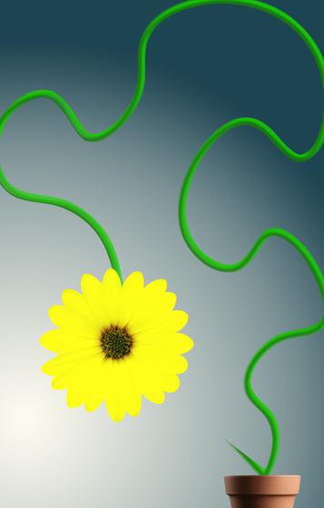 Potted Plant