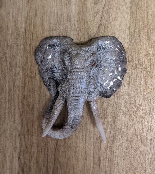 African Elephant Head