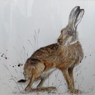 Harry Hare