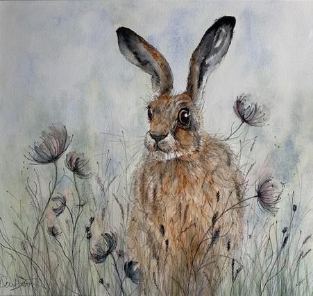 Holly Hare