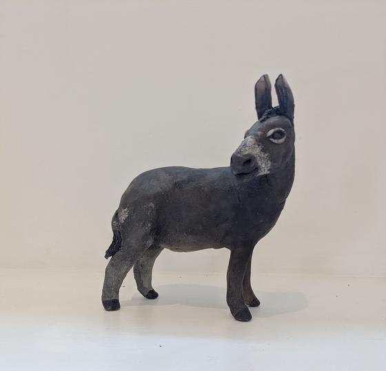 Jack - donkey