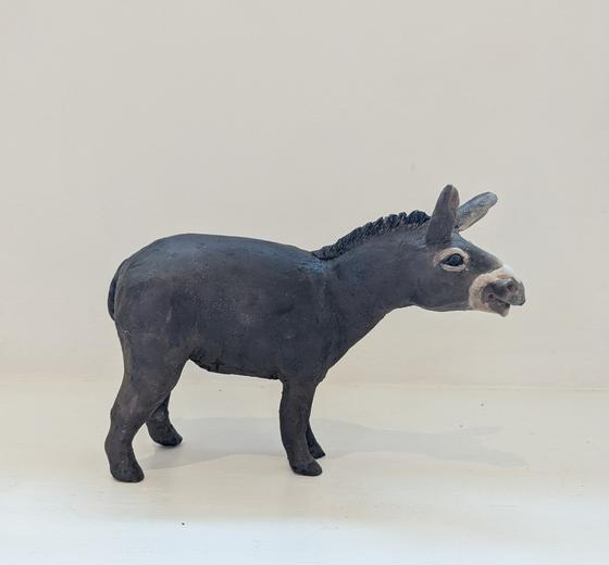 Zippy - donkey