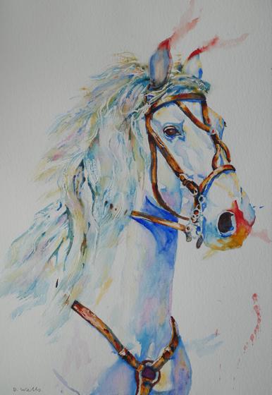 White Steed