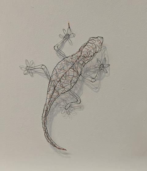 Gecko (LJP2408)