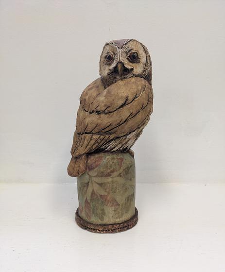 Tawney Owl