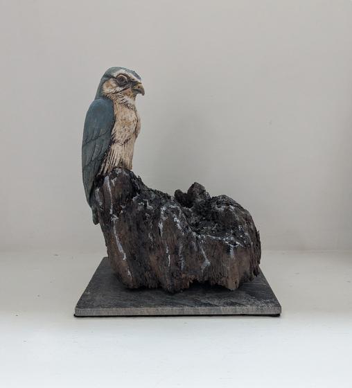 Merlin on Found Wood