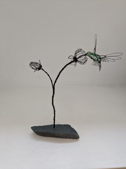 Humming on Double Flower Stem