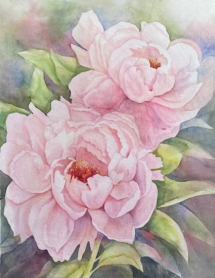 Peonies
