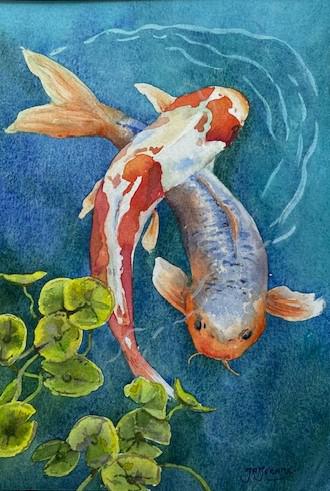 Koi Carp