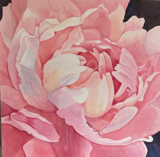 Peony
