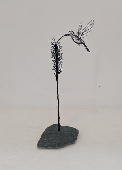 Hummingbird (LJP2604)