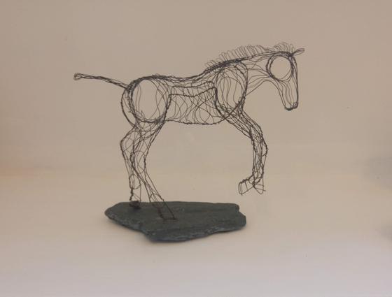 Prancing Foal