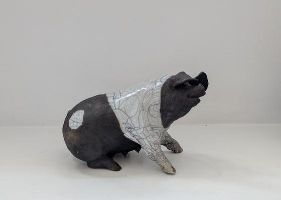 Lilly - sitting pig