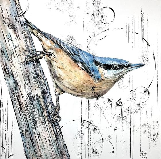 Nuthatch I