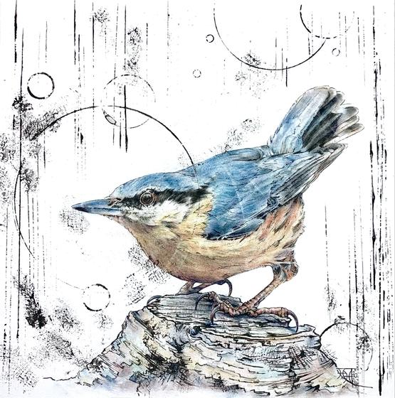 Nuthatch II