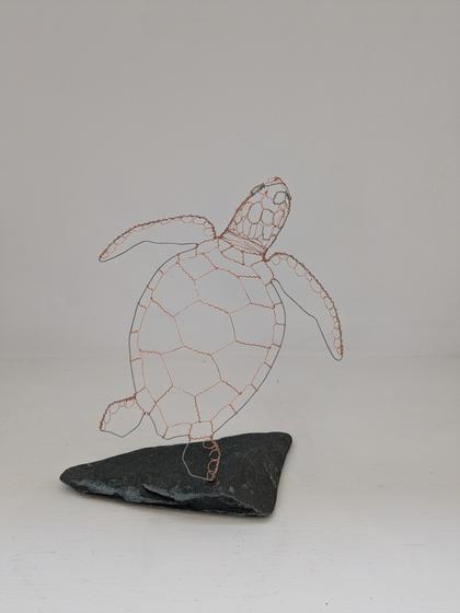 Turtle
