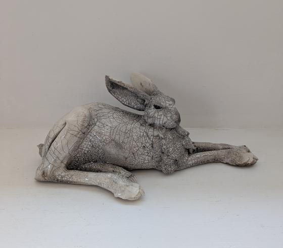 Large Lying Hare