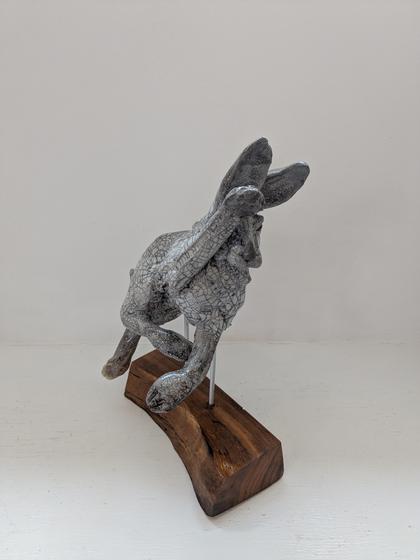 Jumping Hare