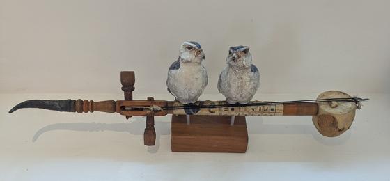 Pygmy Falcon with Egyptian Instrument