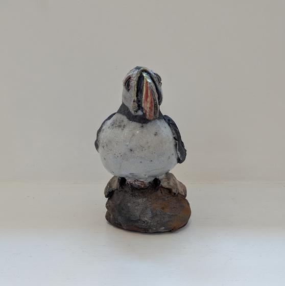 Puffin on Rock