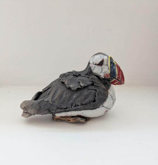 Sitting Puffin