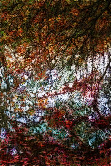 Reflections (5/10)
