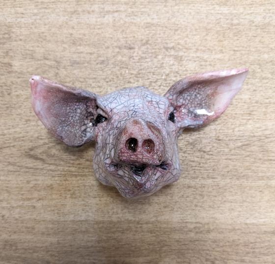 Pig's Head