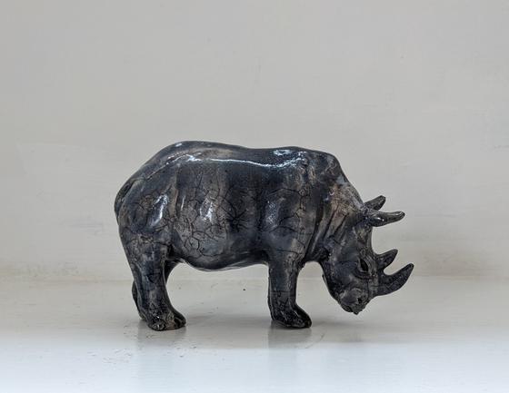 Rhino