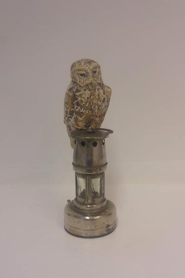 Owl on Lamp