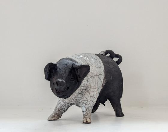 Sparky - standing pig