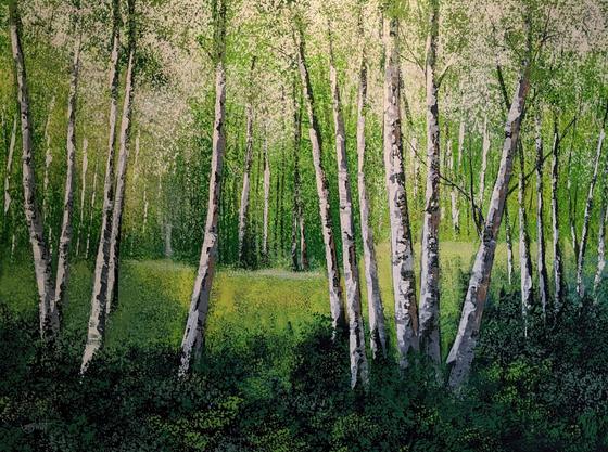 Silver Birch