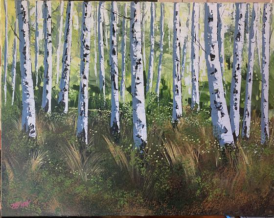 Silver Birch in Montana