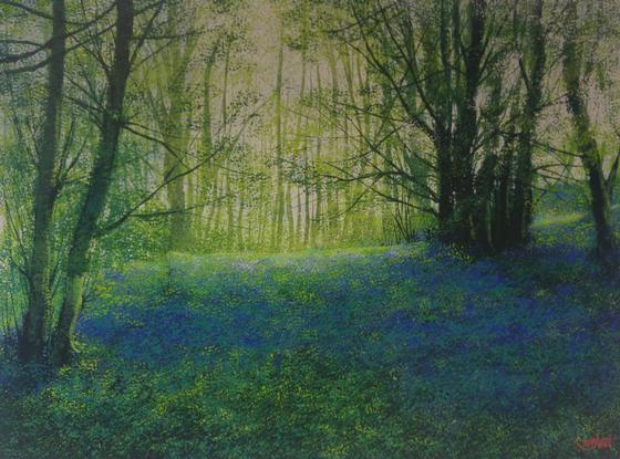 Woodland Bluebells