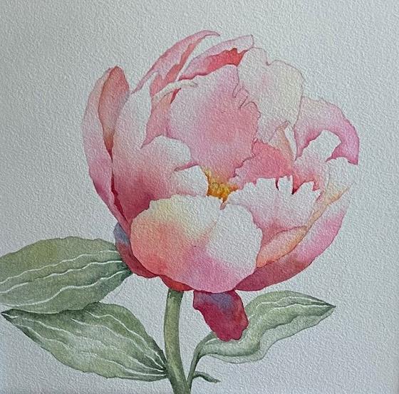 Unfurl to the World